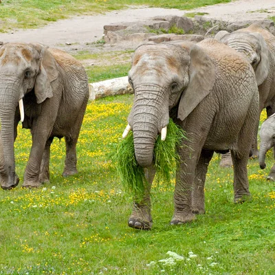 65 Jahre egapark: In Erfurt wird die iga-Geschichte lebendig