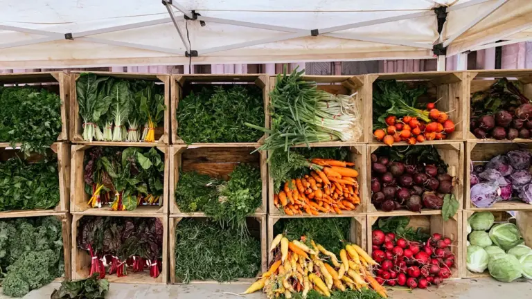 Bauern- und Regionalmarkt Kiel: drei Tage kostenlos: what residents need to know