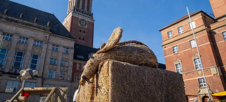 Bauern- und Regionalmarkt Kiel: drei Tage kostenlos: what residents need to know