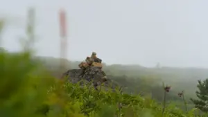 Ein ausgewogener Steinhaufen vor einer unscharfen, nebligen Berglandschaft in der Natur.