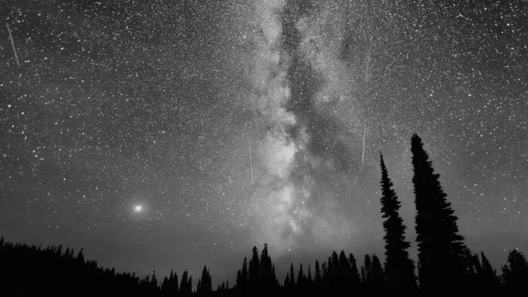 Perseiden am 16. August: So lohnt sich der Blick noch
