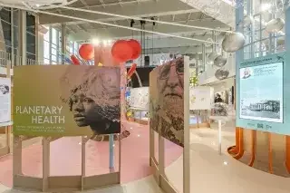 Planetary Health in München: Ausstellung am 14. August: what residents need to know