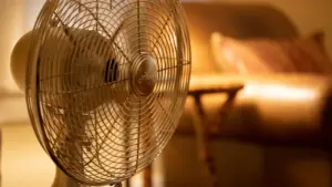 Ein Ventilator steht in einem hellen, wohnlichen Zimmer für angenehme Abkühlung.