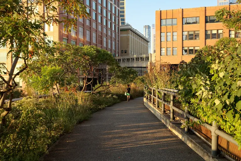 New Yorker High Line Park