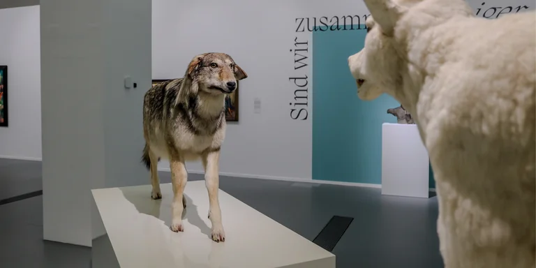 Kunst im Dortmunder U lädt zum Dialog ein