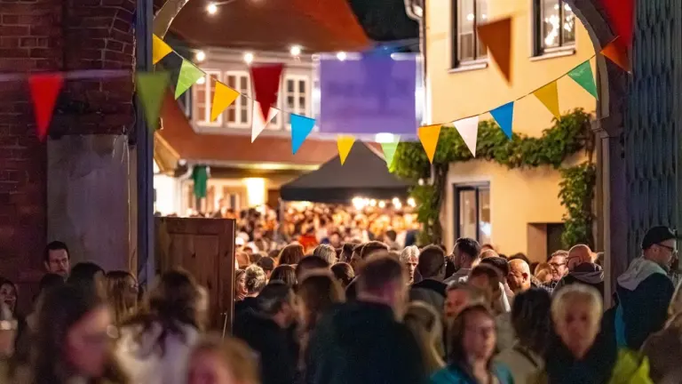 Speyers Altstadtfest: Zwei Tage Musik bei freiem Eintritt