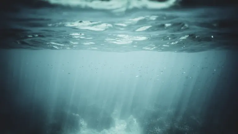Von tiefem oder unruhigem Wasser träumen: Was Ihre Gefühle verraten