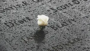 Eine einzelne weiße Rose auf einer nassen Gedenkplatte mit eingravierten Namen der Verstorbenen.
